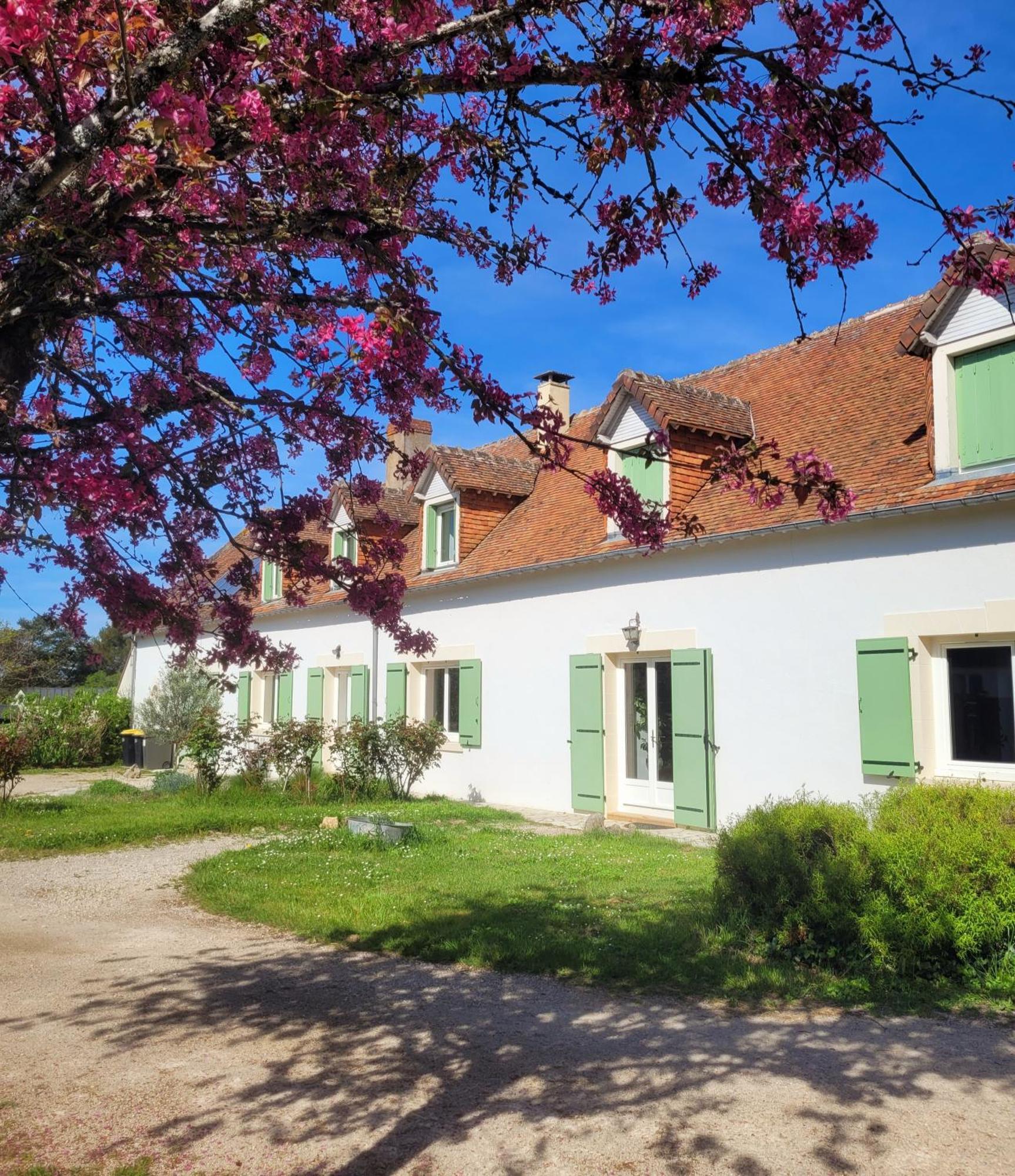 L Amalia Au Coeur Des Chateaux De La Loire Et Du Zoo De Beauval Sambin Dış mekan fotoğraf